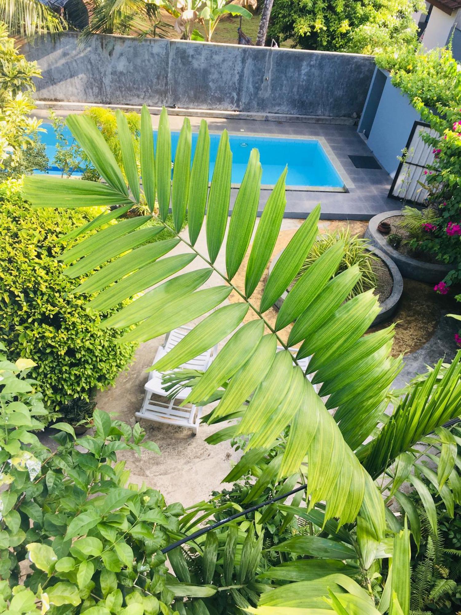 Om Villa Hikkaduwa Esterno foto